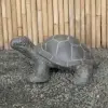 Artikelbild 3 des Artikels “Schildkröte, 62 cm L | Steinguss, handgefertigt & gefärbt “